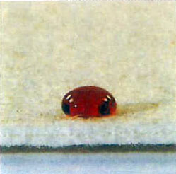 발수처리