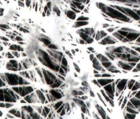 PTEE Expanded Micro-Porous